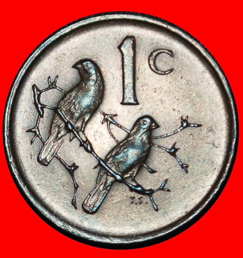  Ⰶ CAPE SPARROWS (1965-1969): SOUTH AFRICA ★ 1 CENT 1969 Riebeeck (1619-1677)★LOW START ★ NO RESERVE!   