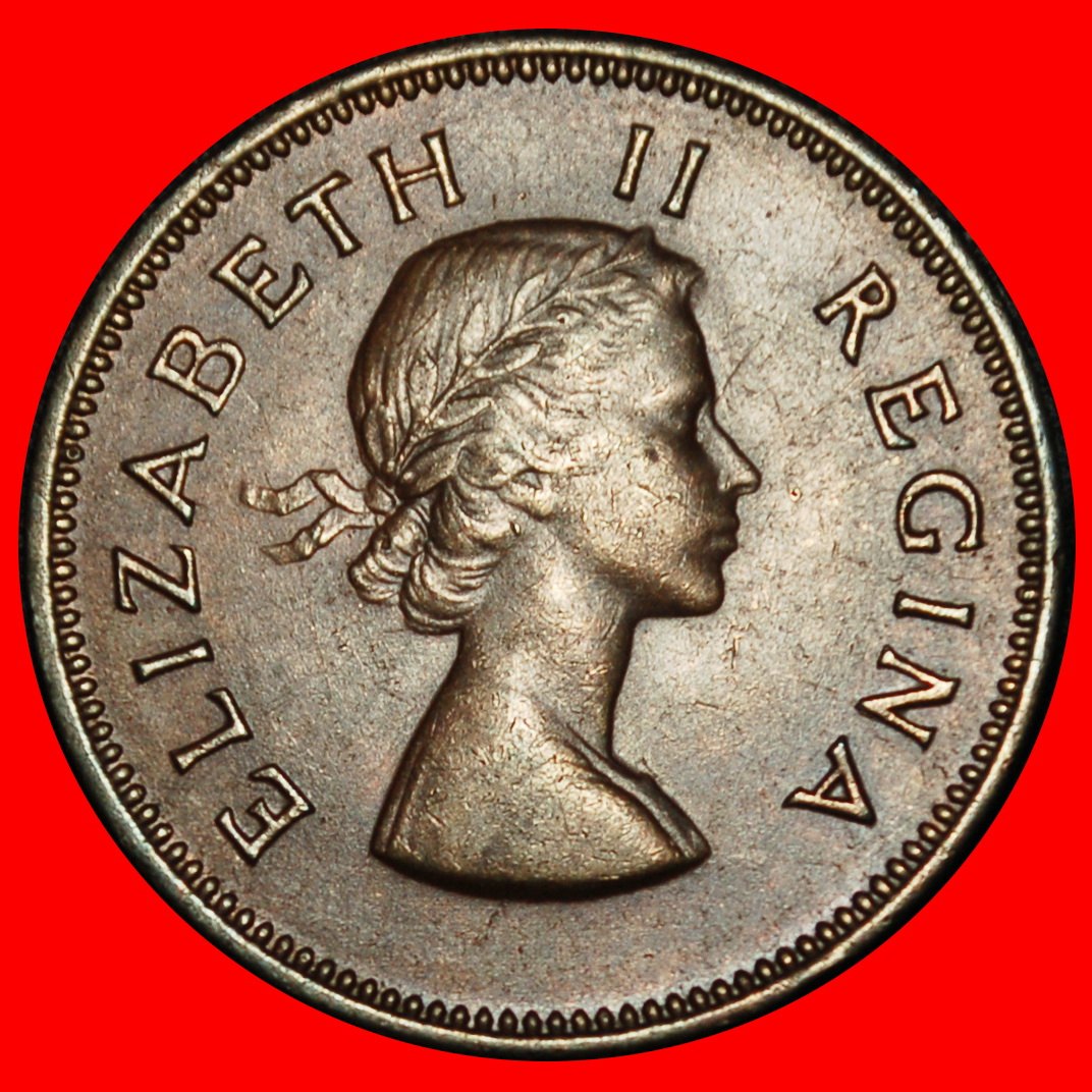  Ⰶ SHIP (1953-1960): SOUTH AFRICA ★ 1/2 PENNY 1958! ELIZABETH II (1953-2022)★LOW START ★ NO RESERVE!   