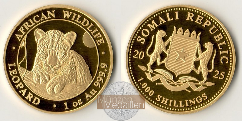 Somalia 'Leopard' MM-Frankfurt Feingold: 31,1g 1000 Schilling 2025 