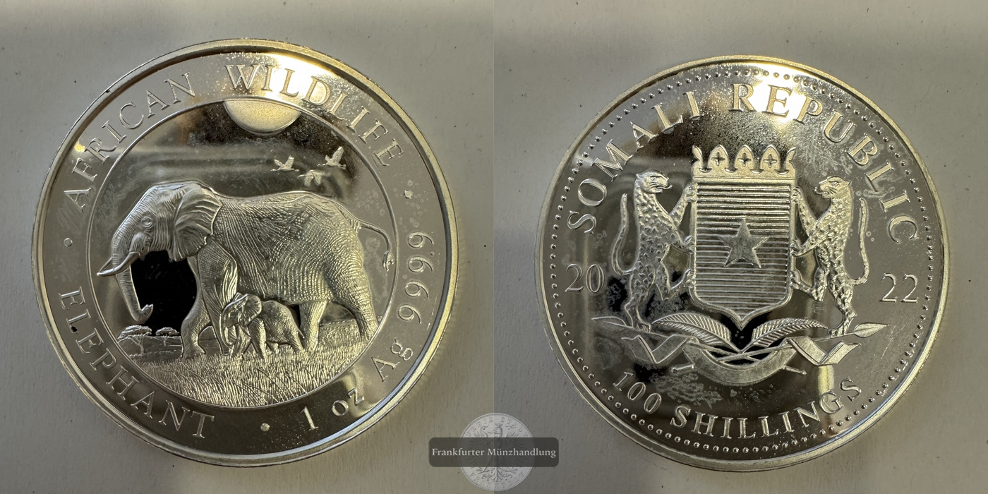 Somalia 100 Schilling 2022 Elephant/Elefant FM-Frankfurt Feinsilber: 31,1g   