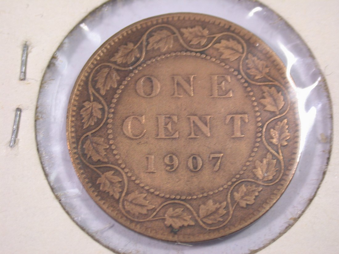 J20 Canada 1 Cent 1907 in ss/ss+ Originalbilder