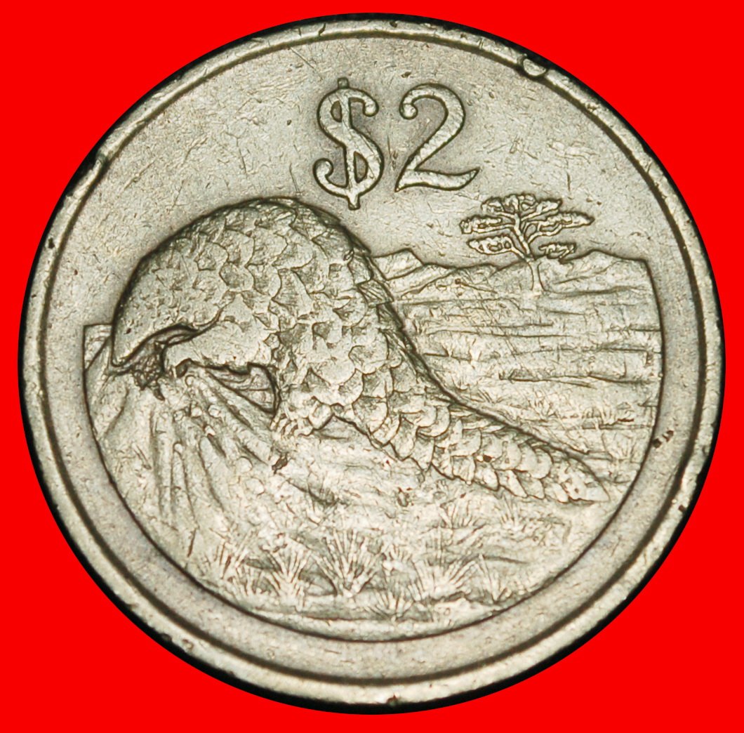 Ⰶ GROSSBRITANNIEN: SIMBABWE ★ 2 DOLLARS 1997 AMEISENBÄR!★OHNE VORBEHALT!
