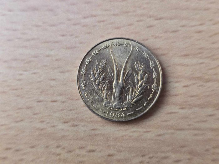  Westafrikanische Staaten 5 Franc 1984 VZ   
