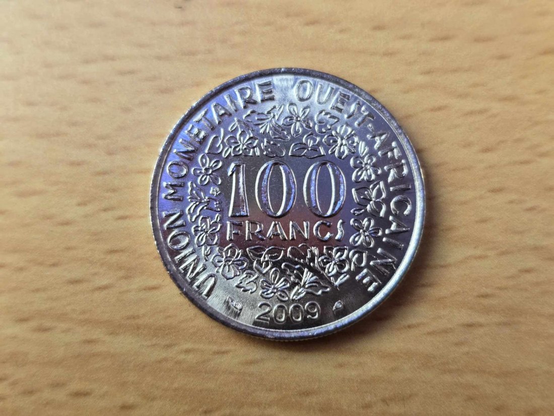  Westafrikanische Staaten 100 Franc 2009 STG   
