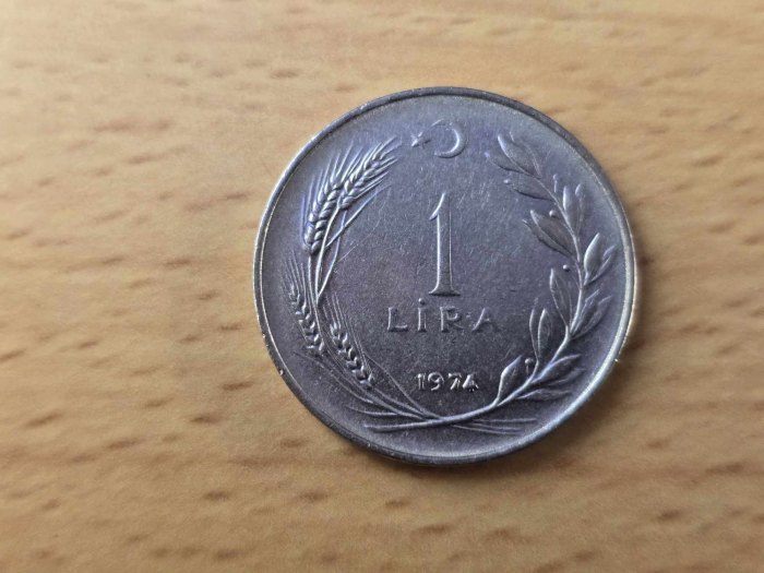  Türkei 1 Lira 1974 VZ   