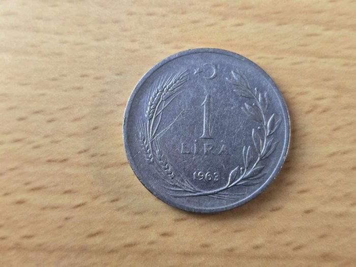  Türkei 1 Lira 1963 Umlauf   