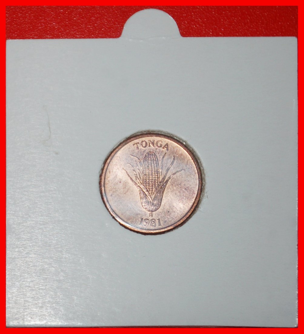 Ⰶ AUSTRALIEN (1981-2005): TONGA★ FAO 1 SENITI 1981 STG STEMPELGLANZ★MAIS UND VANILLE★OHNE VORBEHALT!