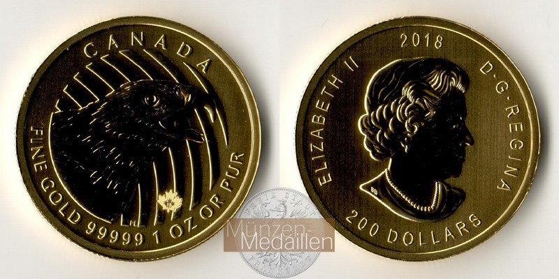 Kanada MM-Frankfurt Feingold: 31,1g 200 Dollar - Steinadler 2018 