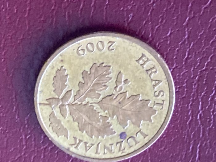  Münze Umlaufmünze Kroatien 5 Lipa 2009   
