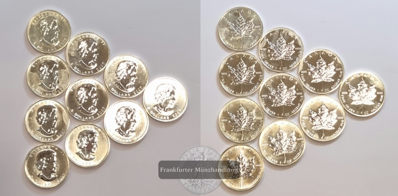  Kanada 5 Dollar 2007 Maple Leaf 10 Münzen LOT FM-Frankfurt  Feinsilber: 310,8g   