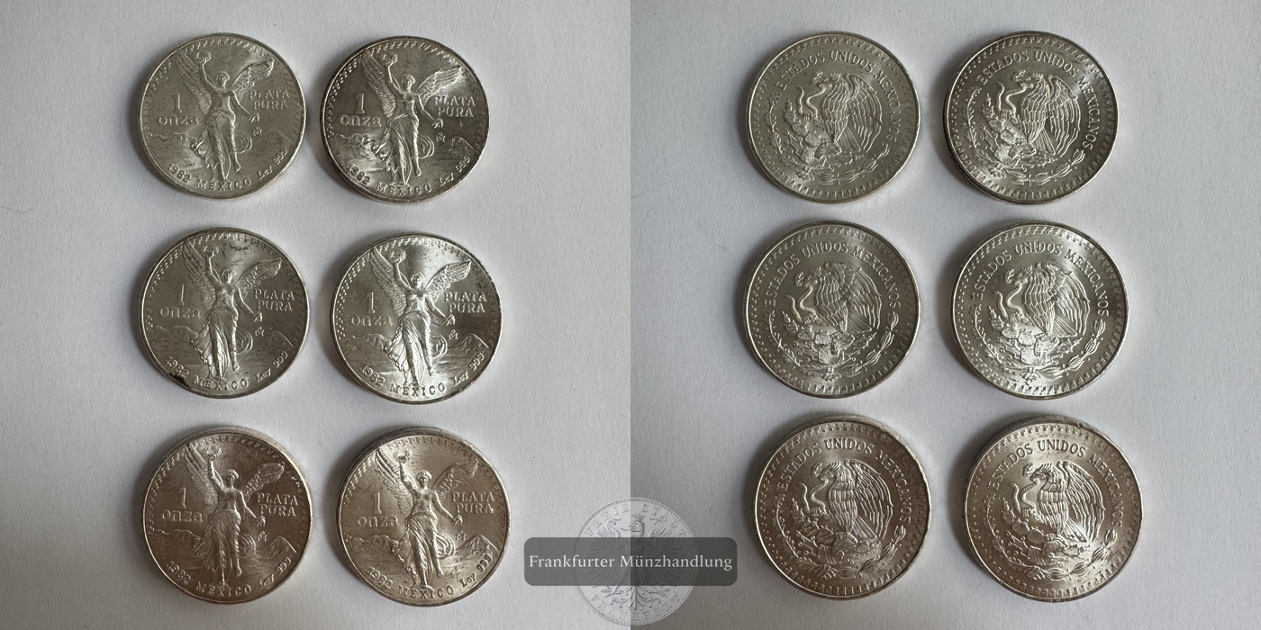  Mexiko 6x 1 Onza Libertad Plata Pura 1982 FM-Frankfurt Feinsilber: 186g   