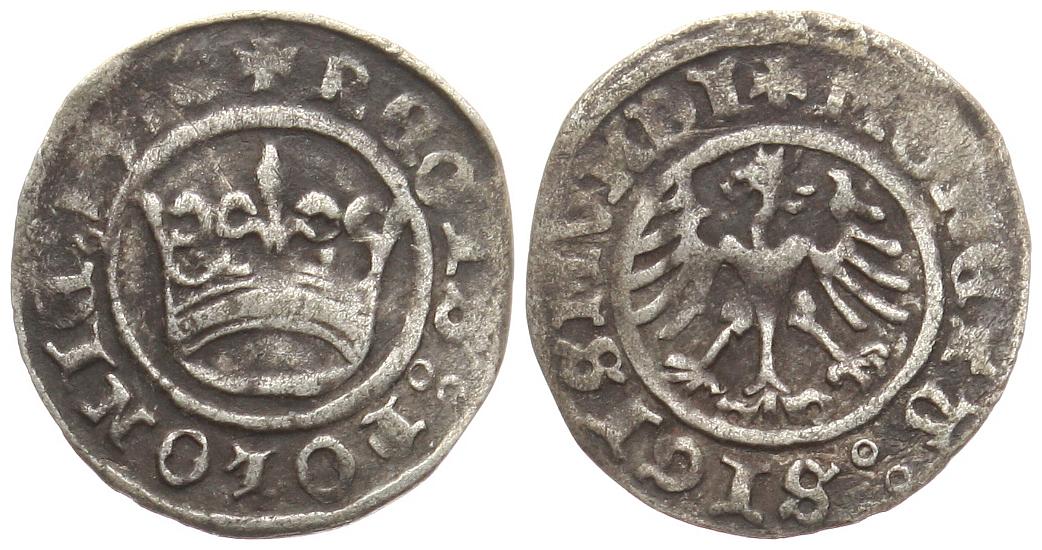  Polen: Halbgroschen 1516, Sigismund I. (1506 - 1548)   