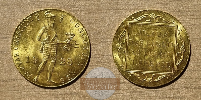 Niederlande, Wilhelmina 1890-1948. MM-Frankfurt Feingold: 3,44g Dukat 1928