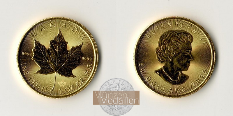 Kanada  50 Dollar MM-Frankfurt Feingold: 31,11g Maple Leaf 2020 