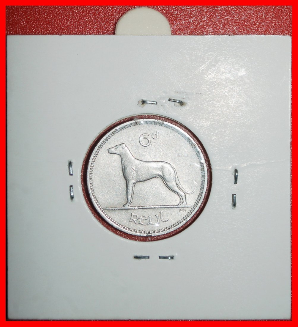  Ⰶ GROSSBRITANNIEN  (1942-1969): IRLAND ★ 6 PENCE 1961 IRISCHER WOLFSHUND! IN PACKUNG★OHNE VORBEHALT!   