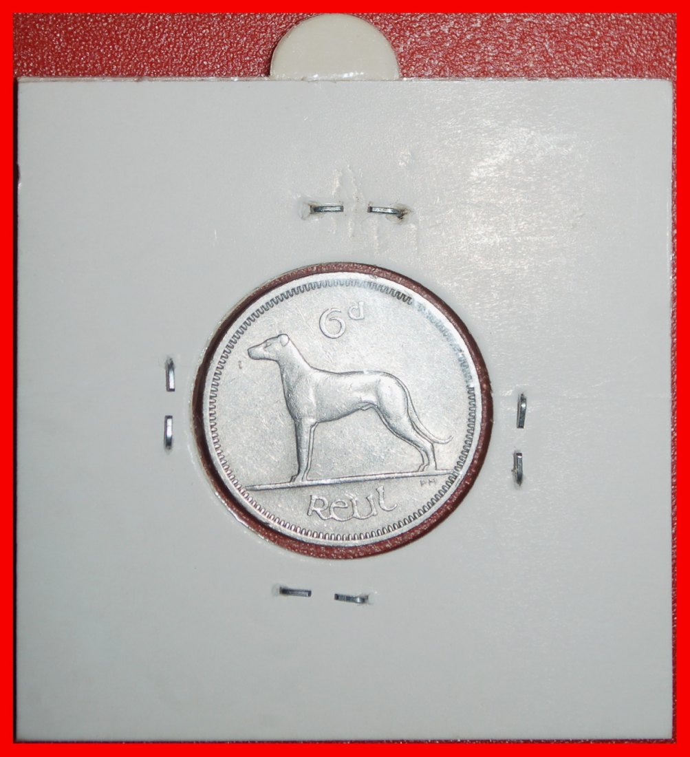 Ⰶ GROSSBRITANNIEN (1942-1969): IRLAND ★ 6 PENCE 1964 IRISCHER WOLFSHUND! IN PACKUNG★OHNE VORBEHALT!