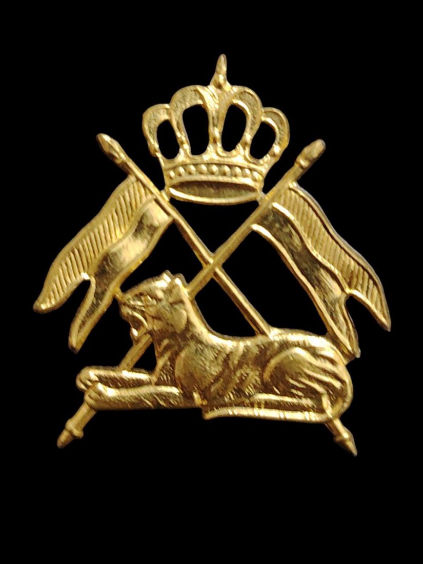 IRAQ Iraqi Kingdom Royal Guards Insignia Military Metal Pin Badge. Rare