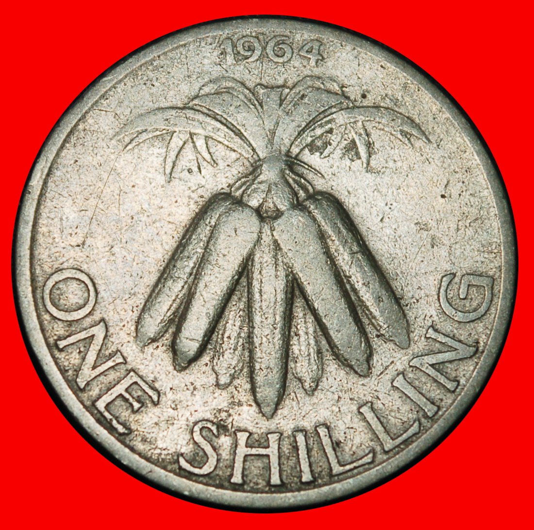 Ⰶ GREAT BRITAN (1964-1968): MALAWI ★ 1 SHILLING 1964 BANDA (1963-1994) CORN! LOW START ★ NO RESERVE!