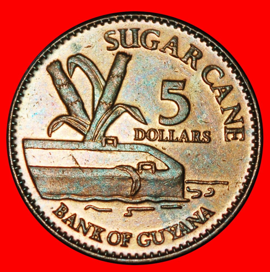  Ⰶ GROSSBRITANNIEN (1996-2022): GUYANA ★ 5 DOLLAR 2012 HOATZIN! ENTDECKUNG MÜNZE! OHNE VORBEHALT!   