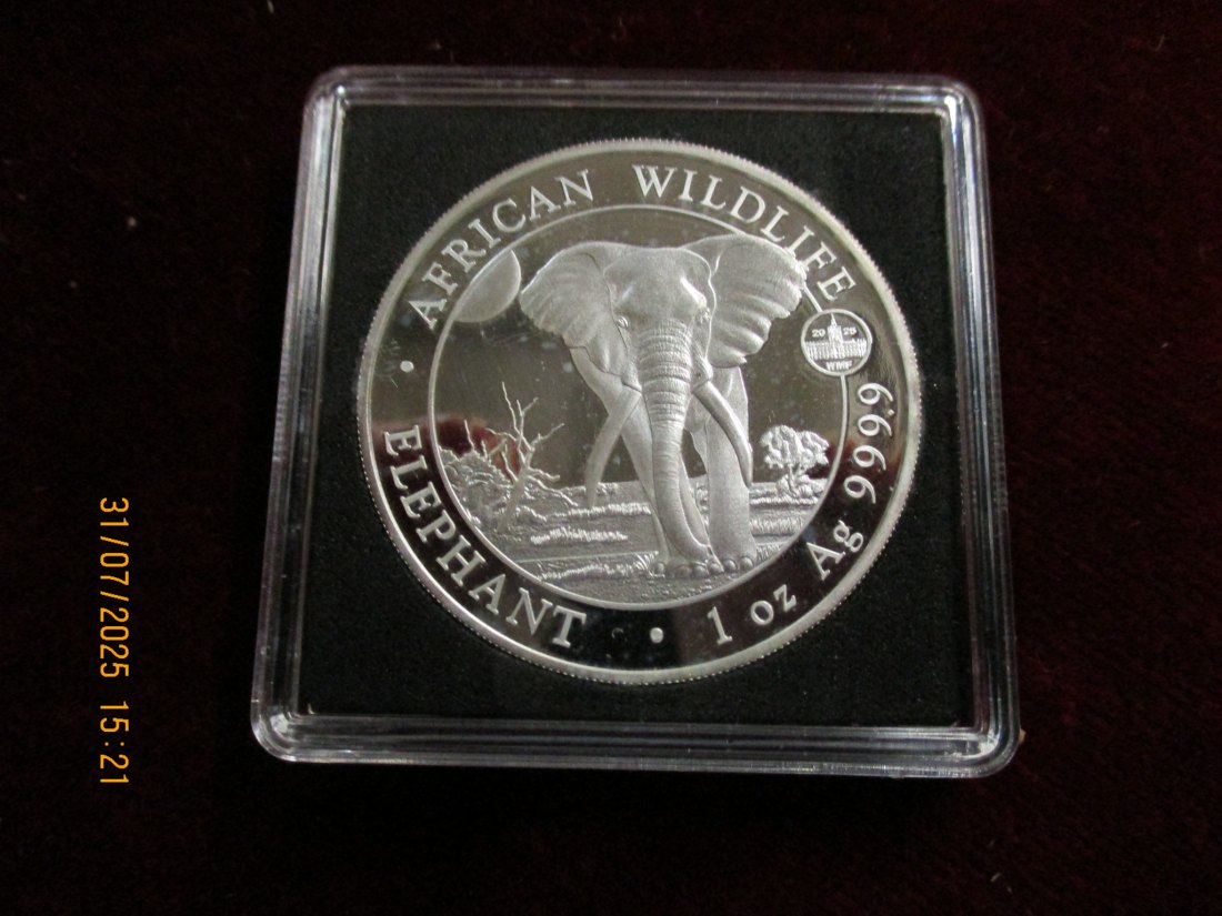  100 Schillings 2025 Somalia Elefant 999,9er Silber 31,1 Gramm   