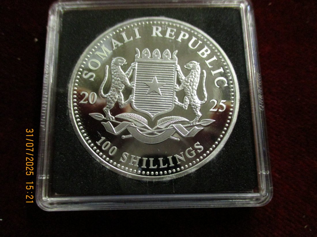  100 Schillings 2025 Somalia Elefant 999,9er Silber 31,1 Gramm   
