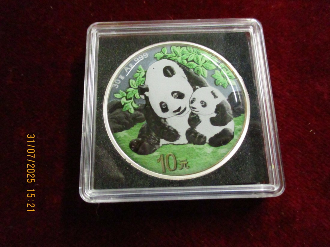  10 Yuan 2024 Panda in Farbe 999er Silber 30 Gramm   