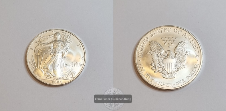  USA 1 Dollar  2004  American Eagle  FM-Frankfurt Feinsilber: 31,1g   