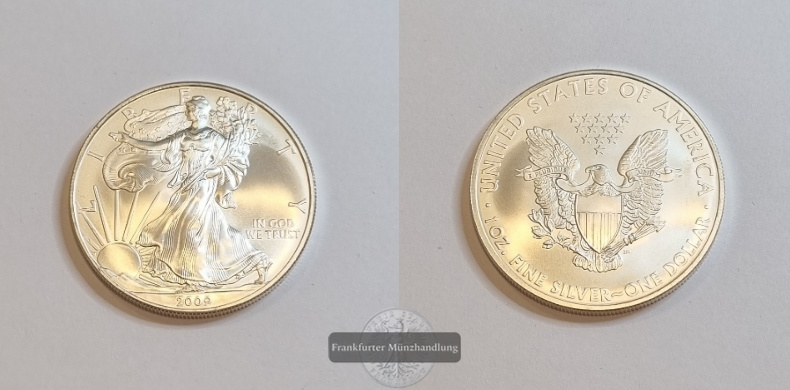  USA 1 Dollar  2009  American Eagle  FM-Frankfurt Feinsilber: 31,1g   