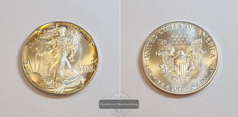  USA 1 Dollar 1987 American Eagle  FM-Frankfurt Feinsilber: 31,1g   