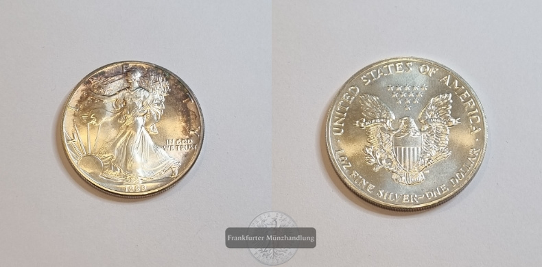  USA 1 Dollar 1989 American Eagle  FM-Frankfurt Feinsilber: 31,1g   
