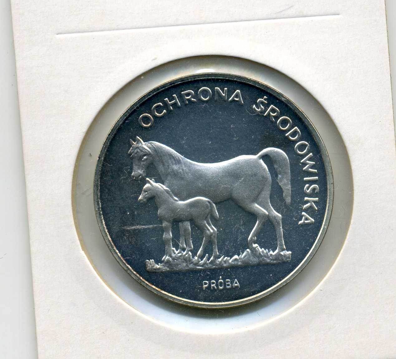 100 Zloty 1981 PP Wildpferd Probe