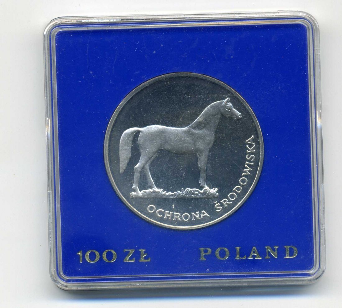  100 Zloty 1981 PP Wildpferd in Original Schachtel   