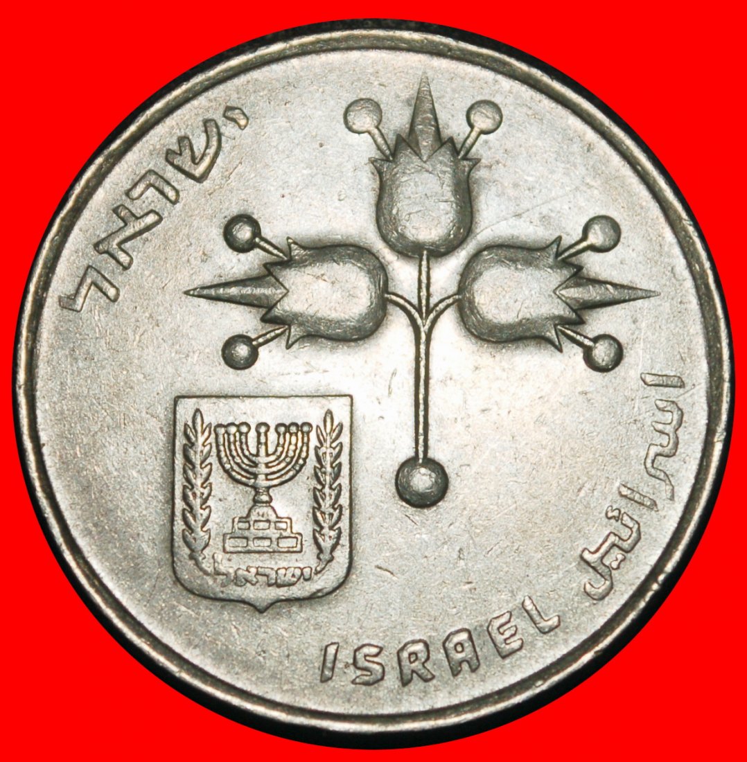  Ⰶ FRUIT OF VENUS (1967-1980): PALESTINE (israel) ★ 1 LIRA 5735 (1975) STARS!★LOW START ★ NO RESERVE!   