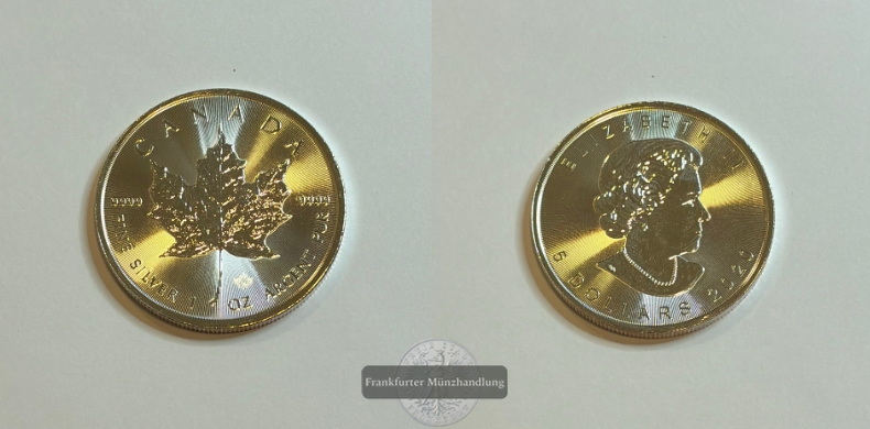  Kanada 5 Dollar  2020  Maple Leaf   FM-Frankfurt  Feinsilber: 31g   