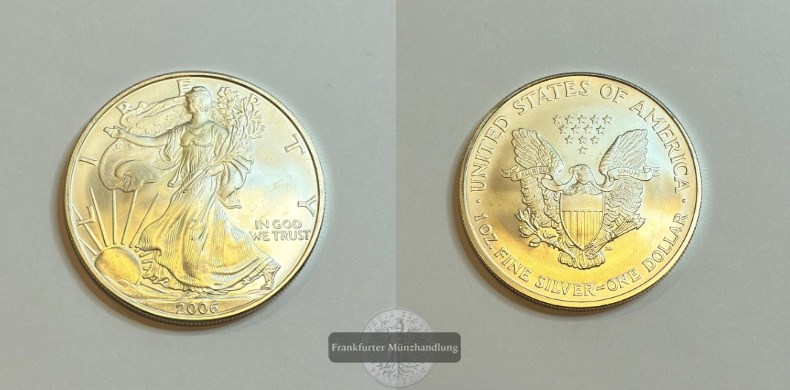  USA 1 Dollar  2006  American Eagle  FM-Frankfurt Feinsilber: 31,1g   