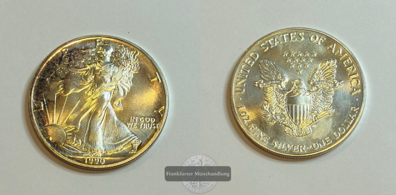  USA 1 Dollar  1990  American Eagle  FM-Frankfurt Feinsilber: 31,1g   