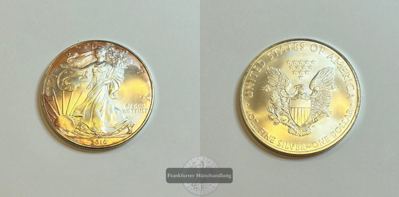  USA 1 Dollar  2010  American Eagle FM-Frankfurt Feinsilber: 31,1g   