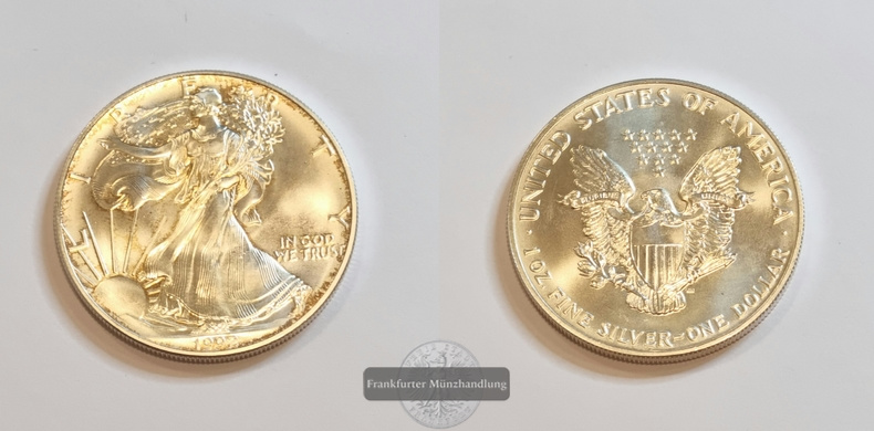  USA 1 Dollar  1992  American Eagle  FM-Frankfurt Feinsilber: 31,1g   