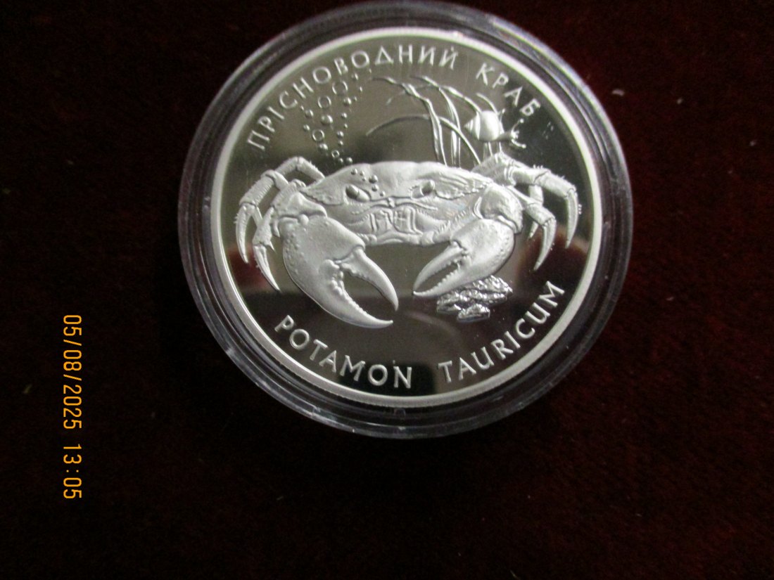  10 Hrywnja 2000 - 925er Silber Tiermotiv Gewicht: 31,1 Gramm   
