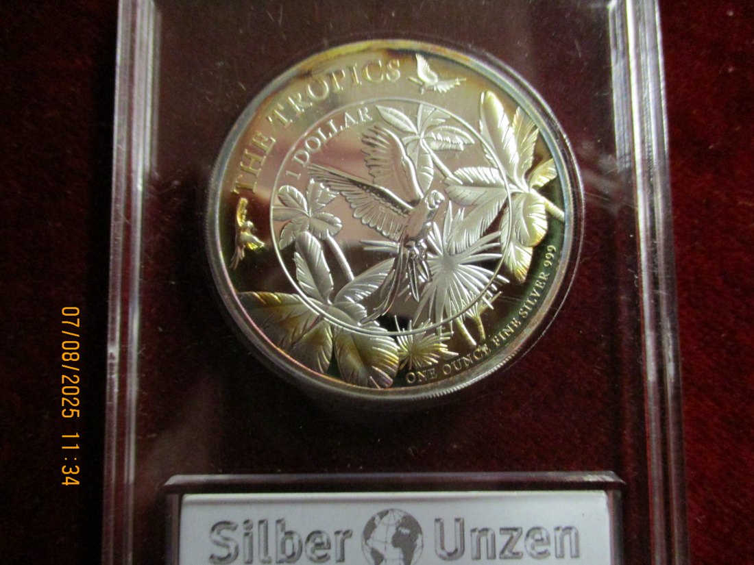  1 Dollar Barbados 2017 - 999er Silber 31,1 Gramm   