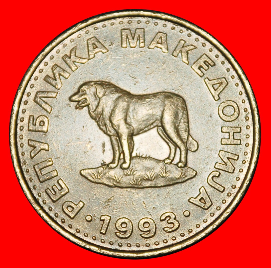 Ⰶ SCANDALOUS ERROR (1993-2024): NORTH MACEDONIA YUGOSLAVIA★ 1 DINAR 1993 DOG★LOW START ★ NO RESERVE!