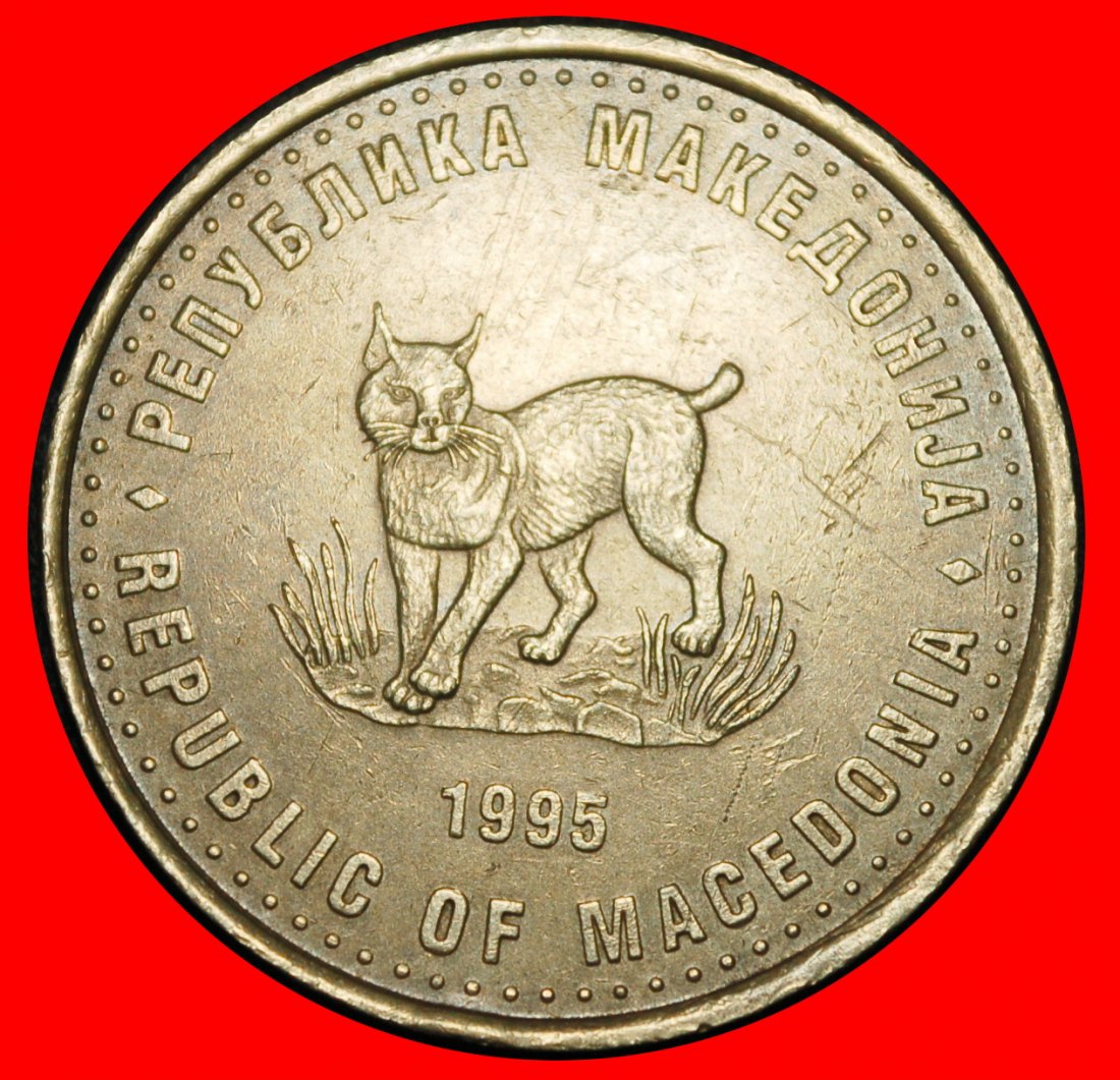  Ⰶ SCANDALOUS ERROR: NORTH MACEDONIA YUGOSLAVIA★5 DENARS 1945-1995 FAO russia★LOW START ★ NO RESERVE!   