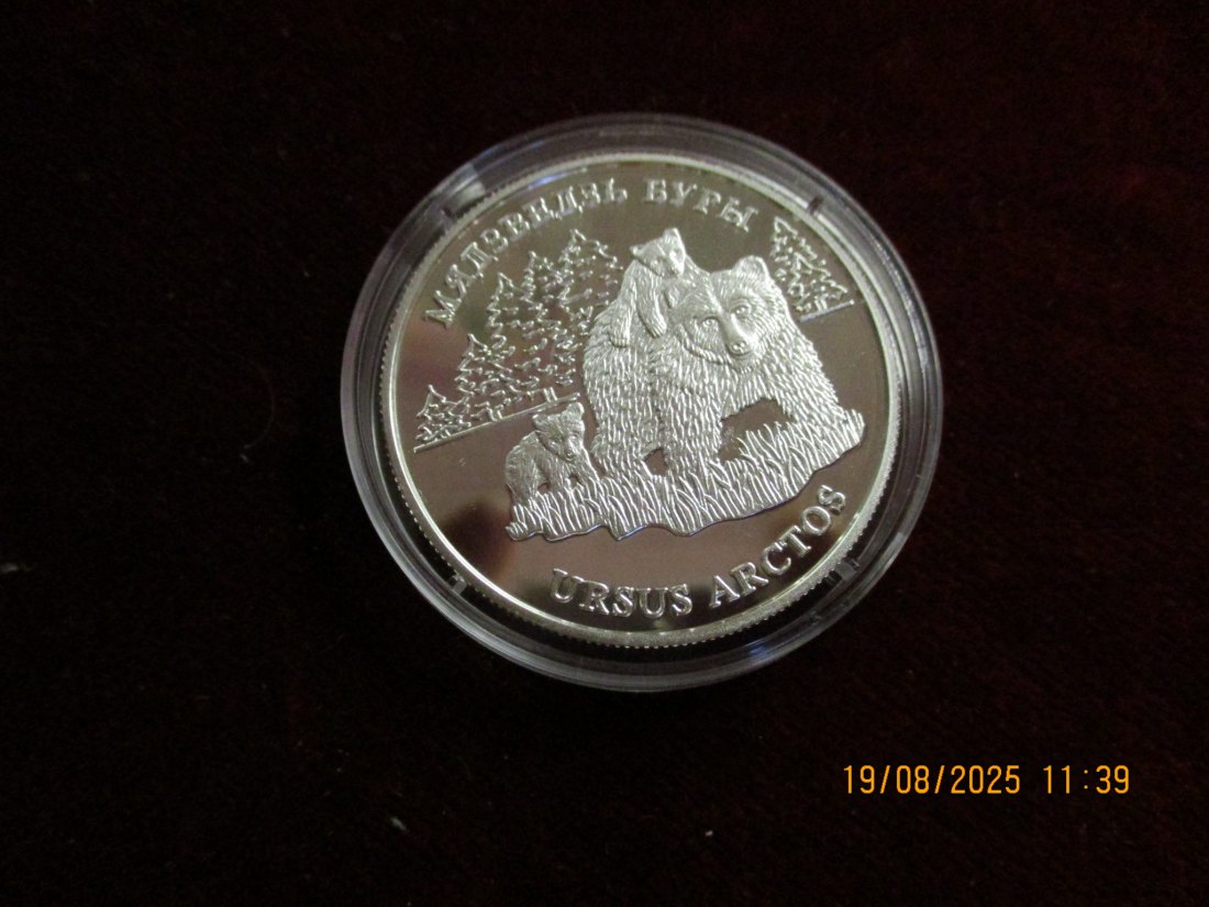 Belarus 20 Rubel 2002 Brown Bear PP 925er Silber 31,1g rau   