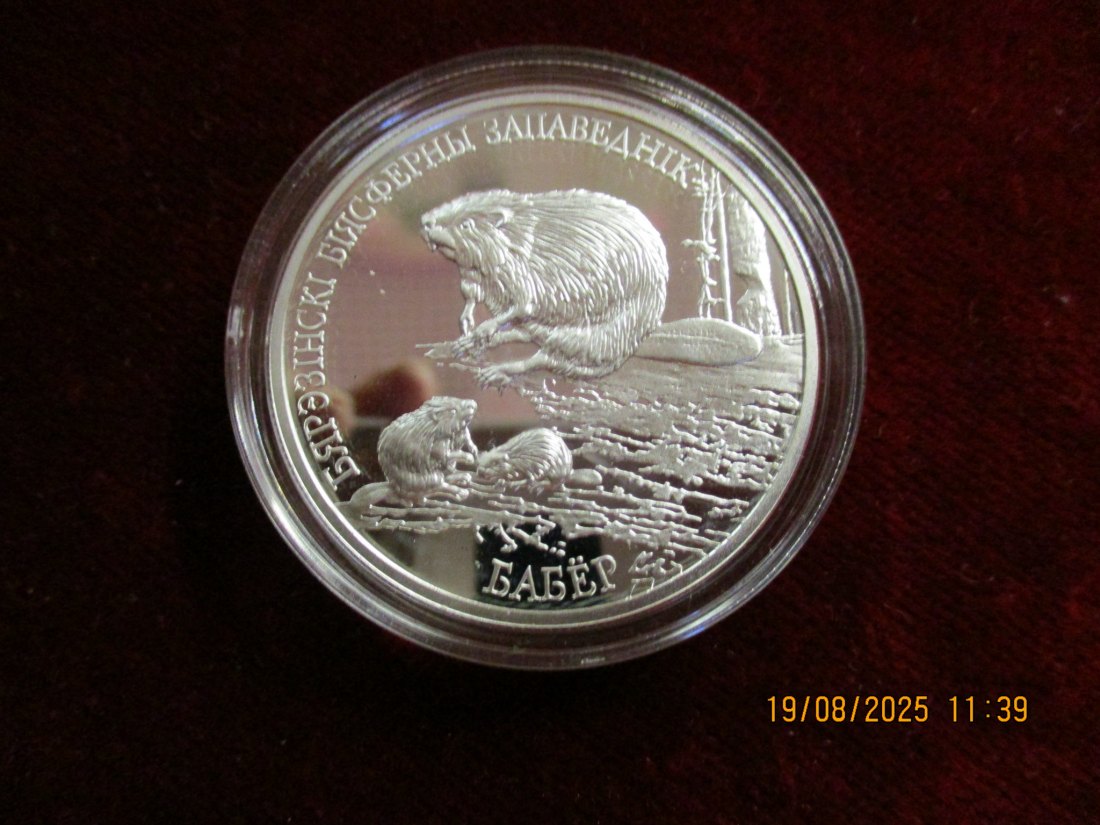  Belarus 20 Rubel Endangered Wildlife Beavers Fauna PP 925er Silber 33,63g rau   