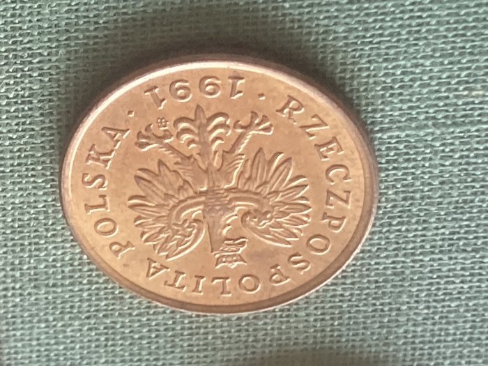  Münze Münzen Umlaufmünze Polen 5 Groszy 1991   