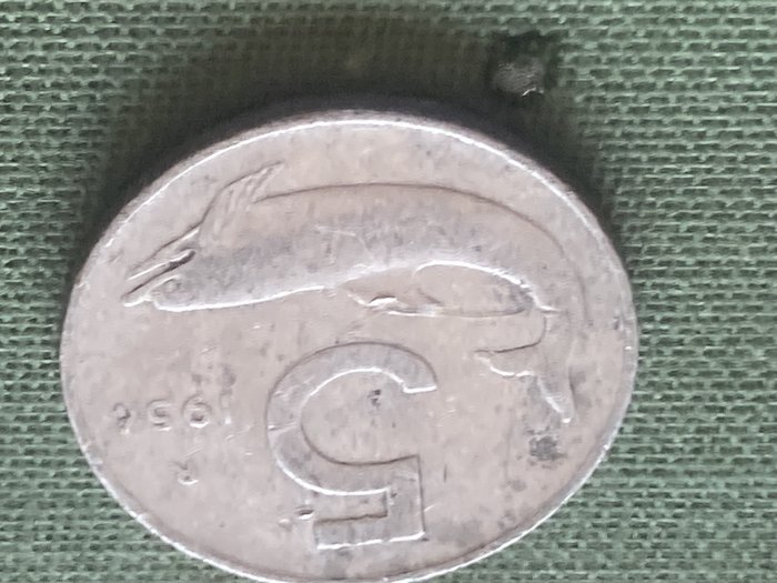  Münze Münzen Umlaufmünze Italien 5 Lire 1954   
