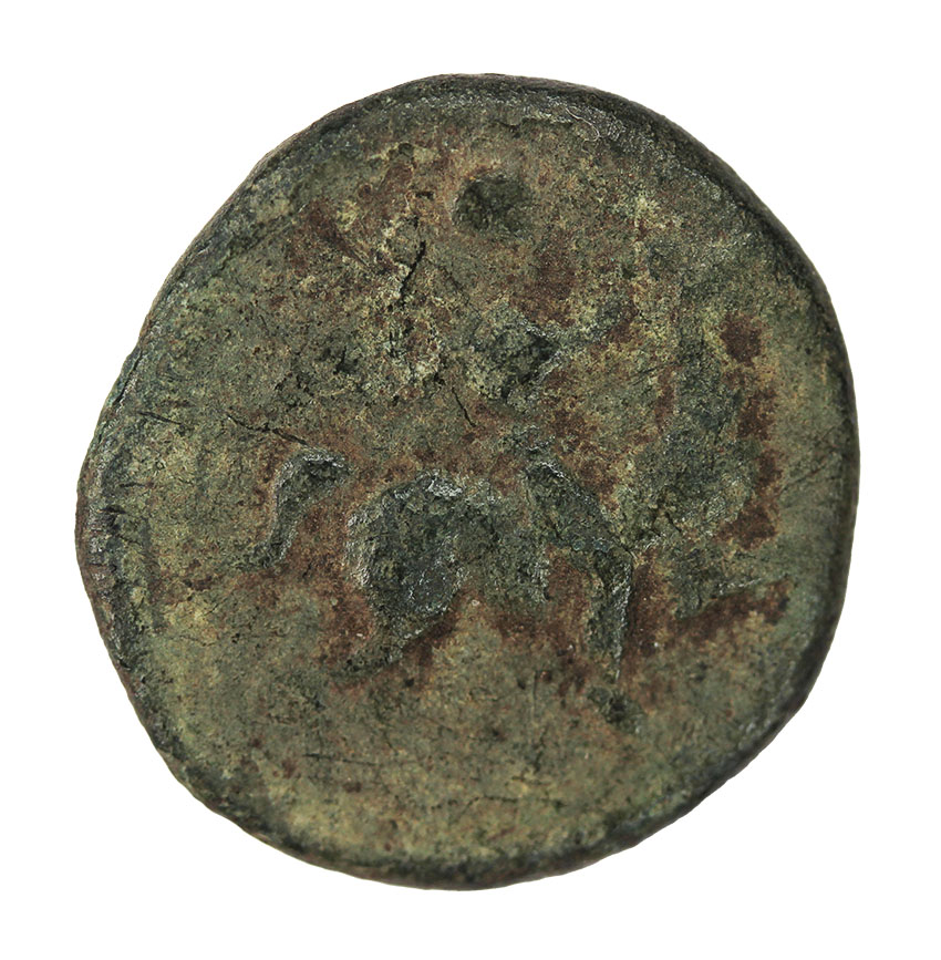 Skostokos, King of Thrace ,277-260 BC,AE ca.18 mm 4,24 g., RARE
