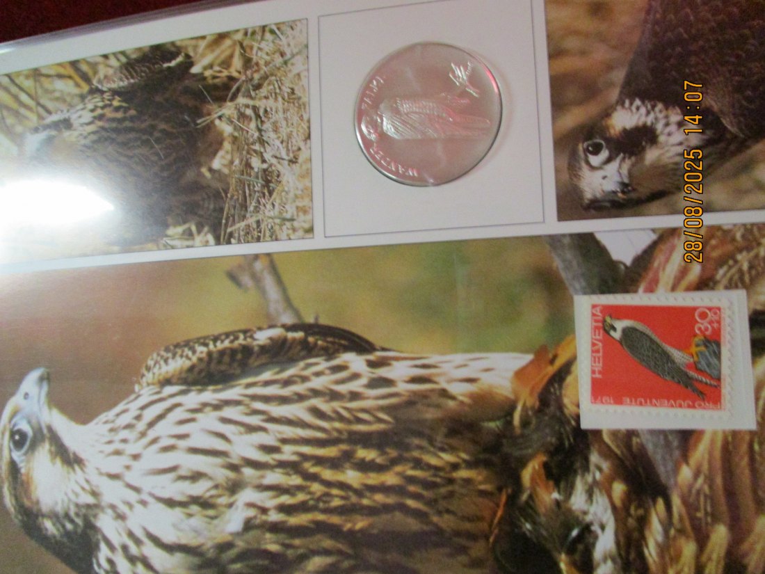  Tiere der Heimat Wanderfalke 999,9er Silber 17 Gramm   
