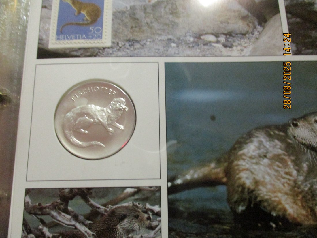  Tiere der Heimat Fischotter 999,9er Silber 17 Gramm   