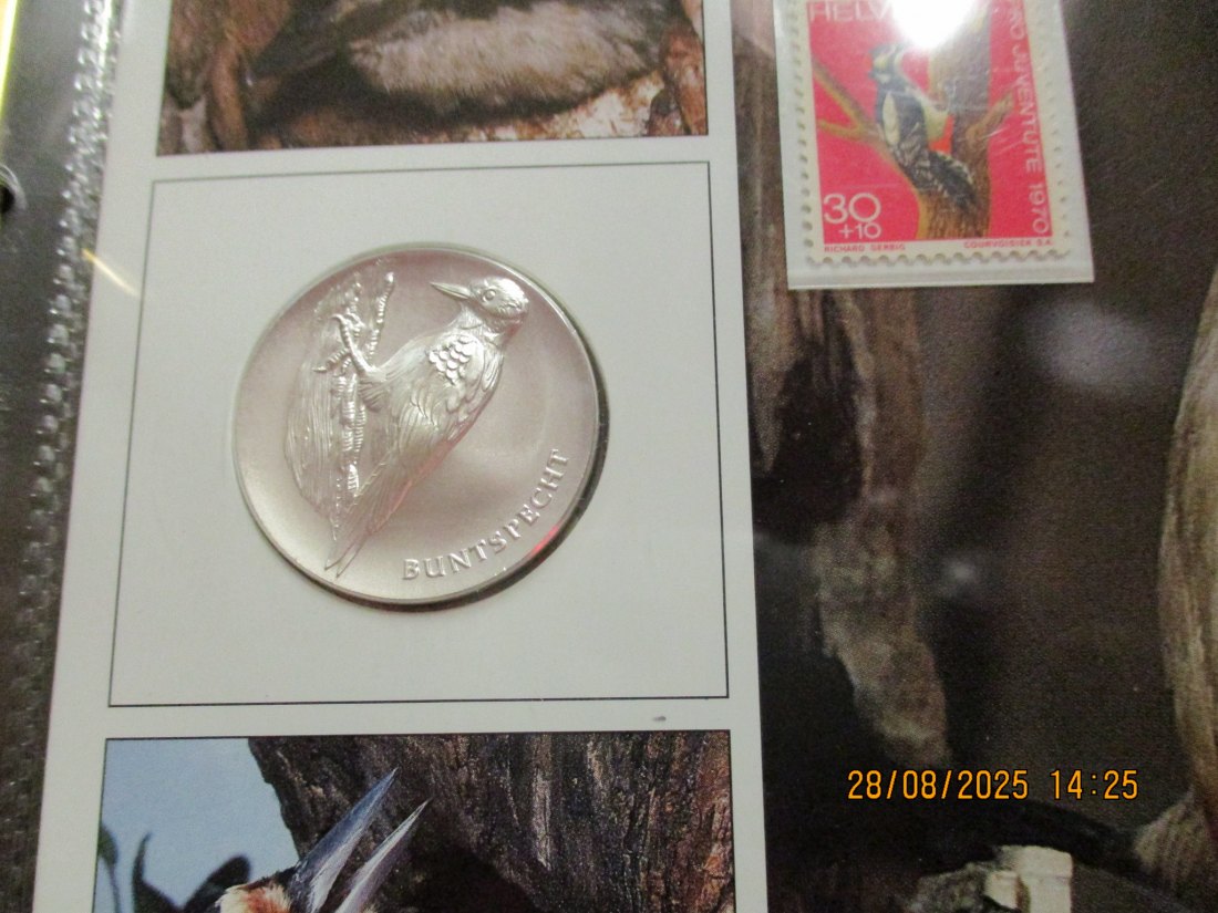  Tiere der Heimat Bundspecht 999,9er Silber 17 Gramm   